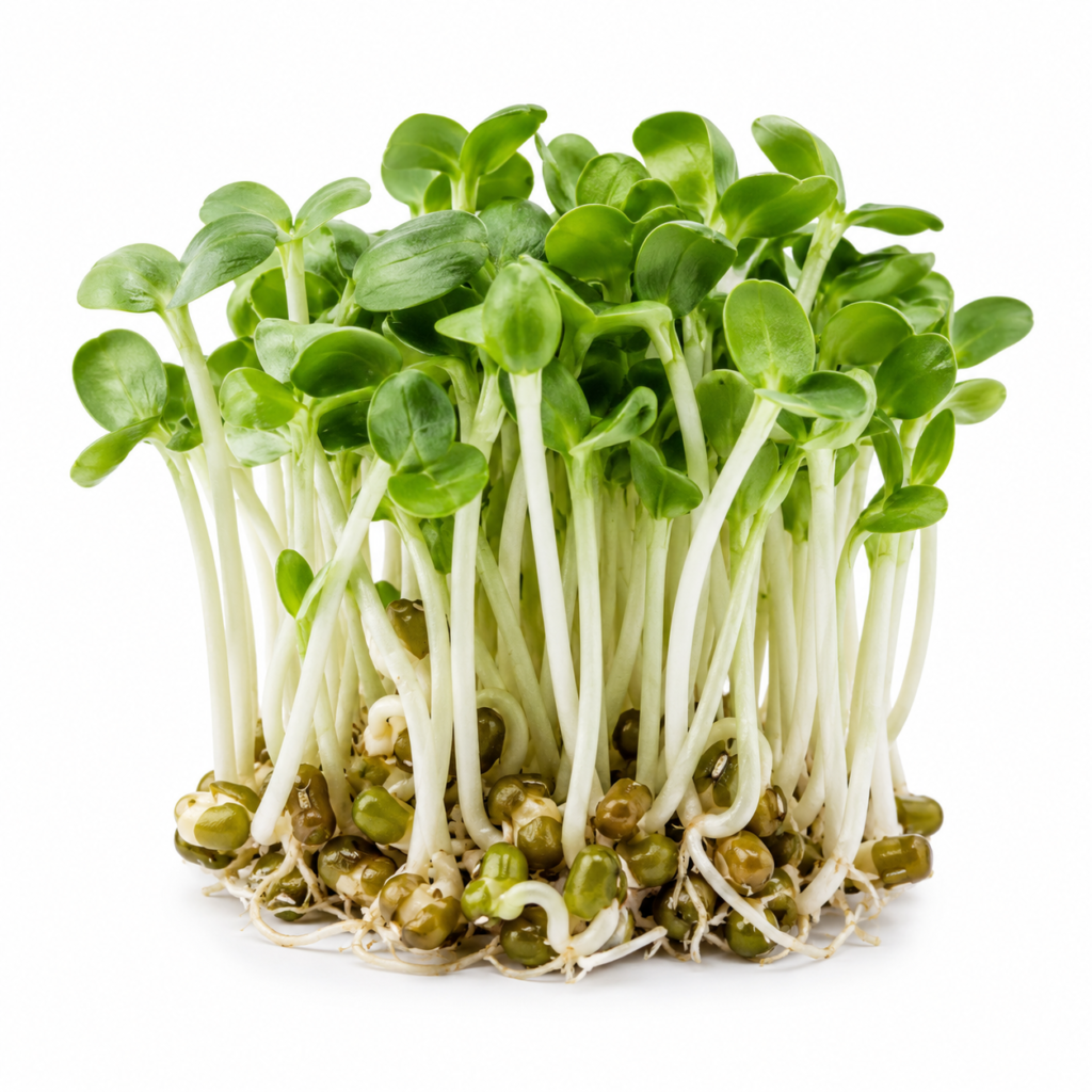 Mung Bean Microgreens Powder – First Sprout